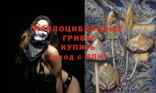 apvp Богданович