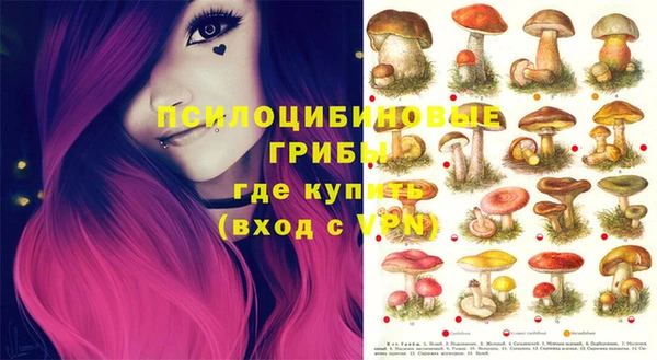 apvp Богданович