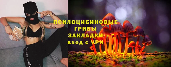 apvp Богородск